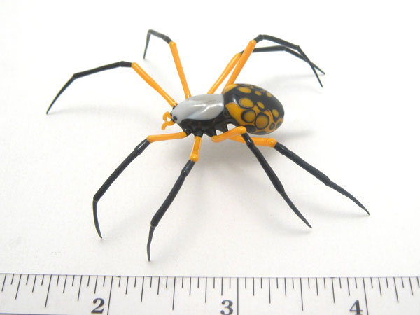 Argiope aurantia, glass spider by Wesley Fleming