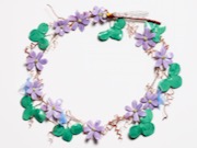 BMAC_Hepatica