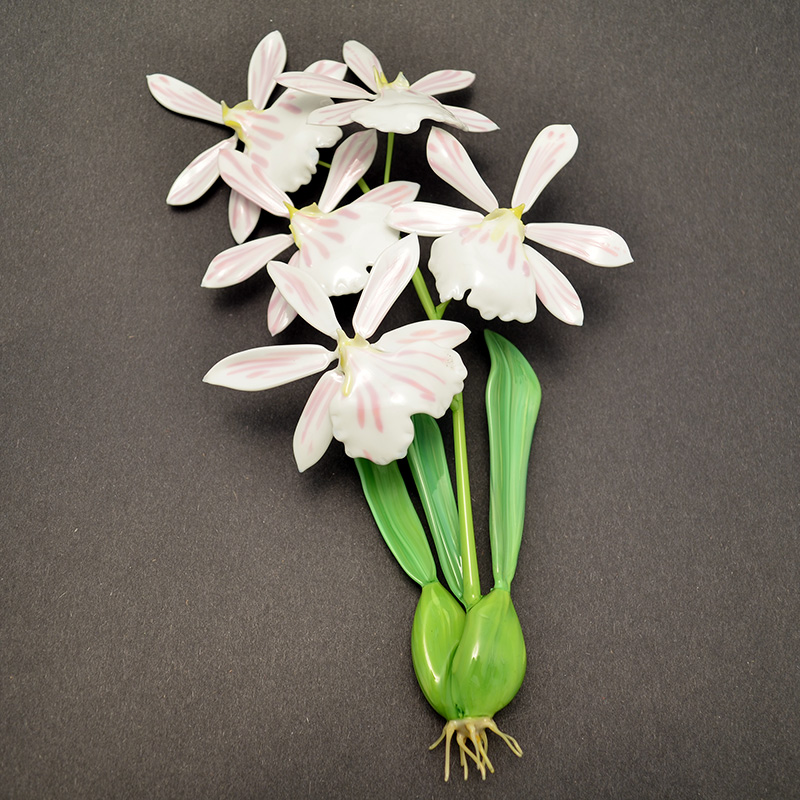 Miltoniopsis vexillaria, modeled after 1889 specimen by L &amp; R Blaschka, glass orchid by Wesley Fleming