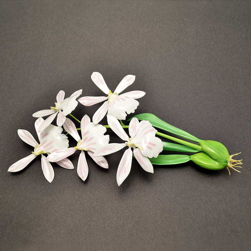 Miltoniopsis vexillaria, modeled after 1889 specimen by L &amp; R Blaschka, glass orchid by Wesley Fleming