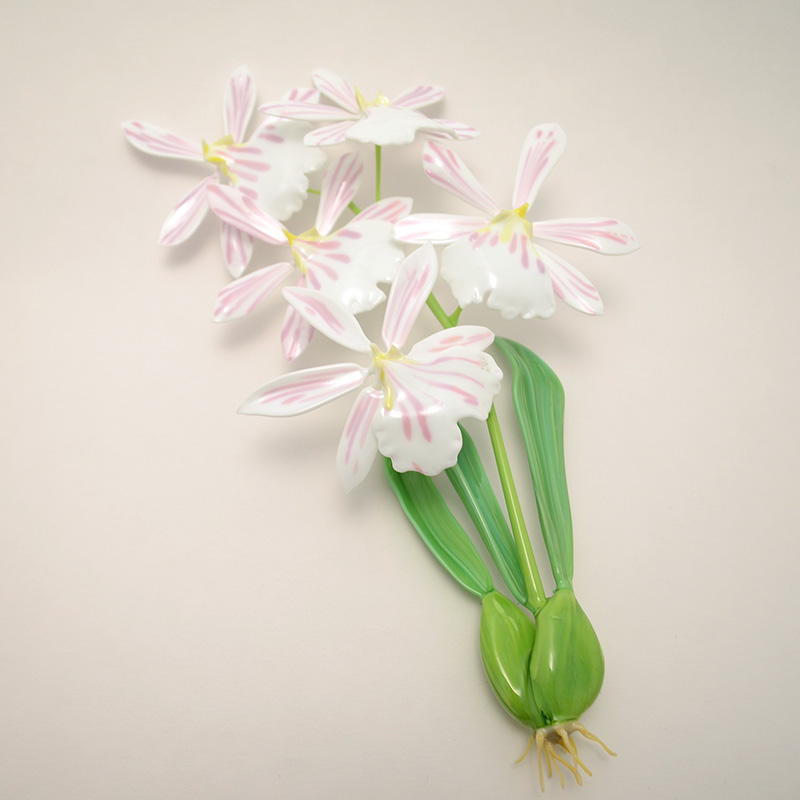 Miltoniopsis vexillaria, modeled after 1889 specimen by L &amp; R Blaschka, glass orchid by Wesley Fleming