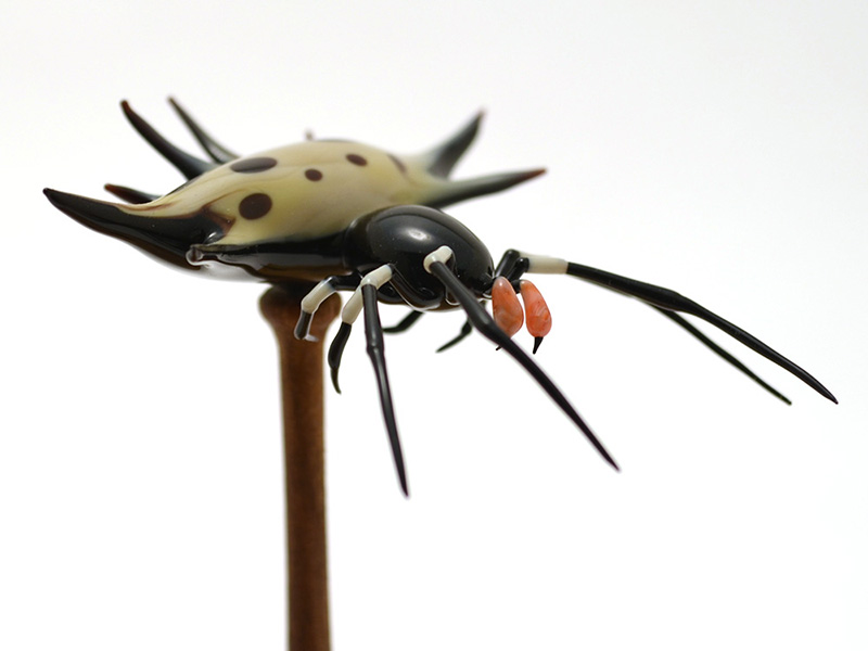 Spiny Crab Spider on Pedestal, glass crab spider by Wesley Fleming