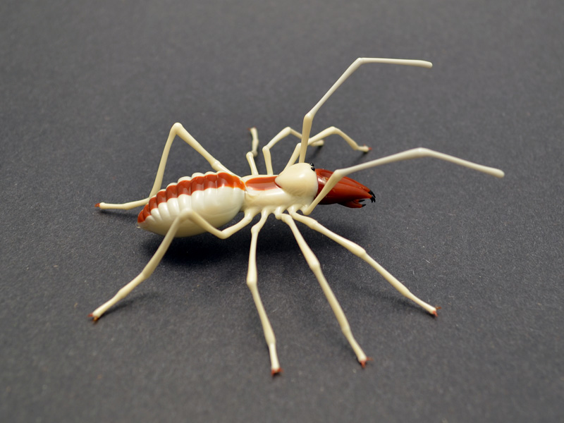 Camel Spider, glass wasp by Wesley Fleming