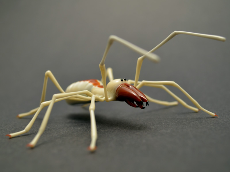 Camel Spider, glass wasp by Wesley Fleming