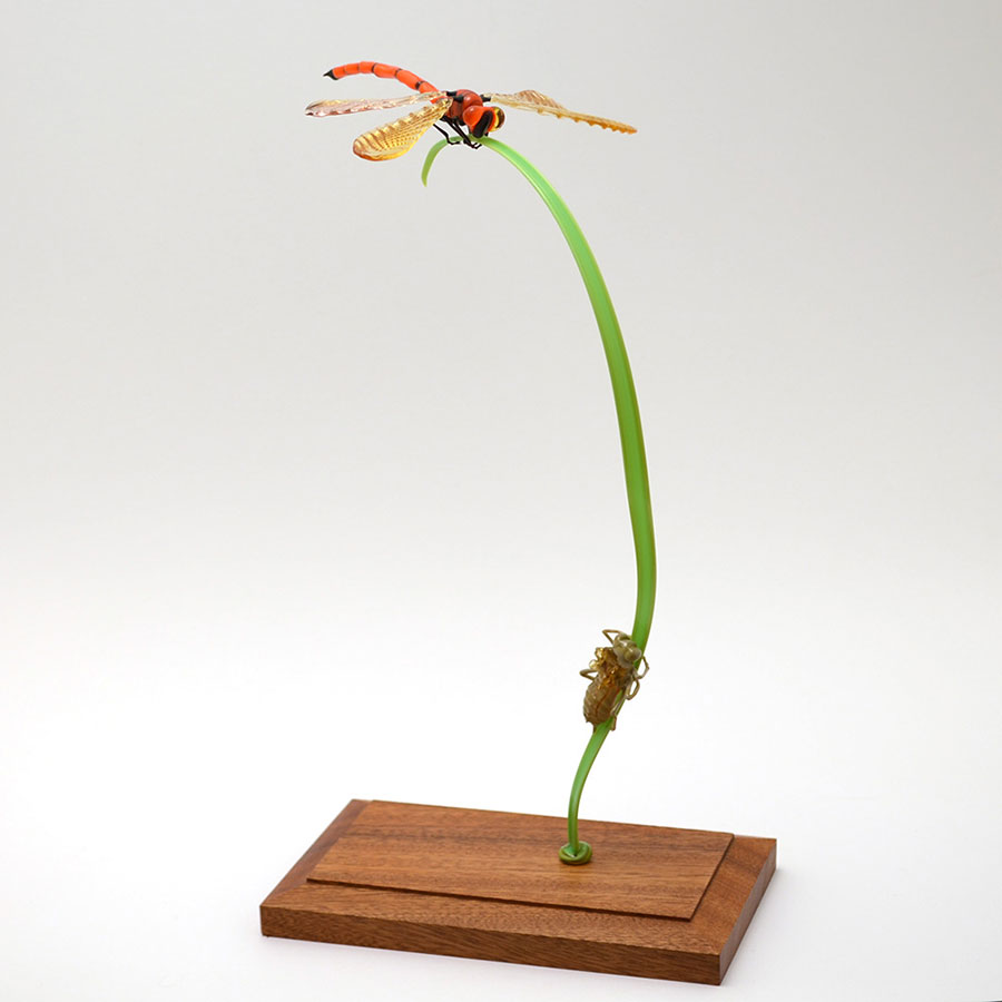 Freshly-Hatched Red Dragonfly, glass dragonfly by Wesley Fleming