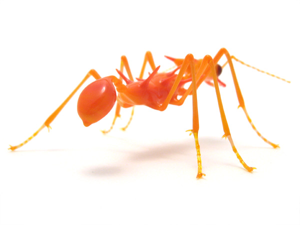 Fire Ant, glass bug by Wesley Fleming