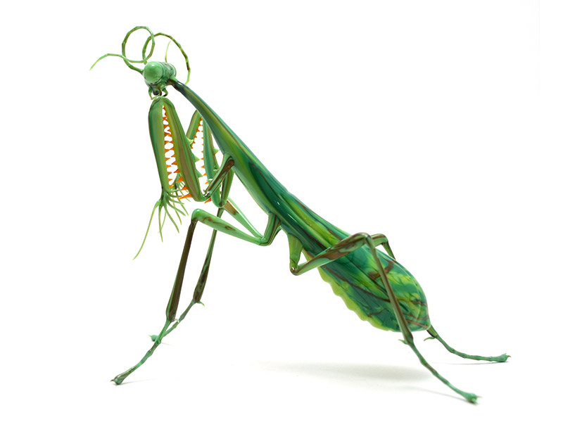 Mantis Religiousa, glass praying mantis by Wesley Fleming