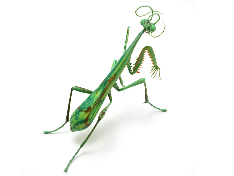 Mantis Religiousa, glass insect by Wesley Fleming