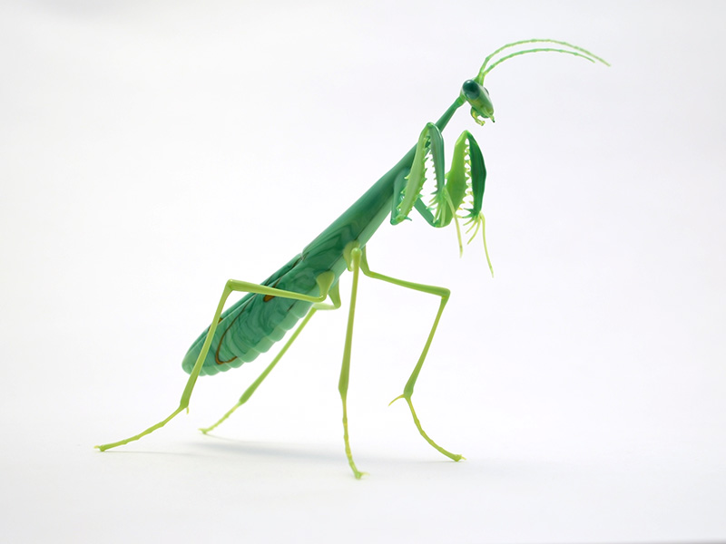 Green Mantis, glass bug by Wesley Fleming
