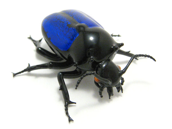 Jewel Beetle, glass insect by Wesley Fleming