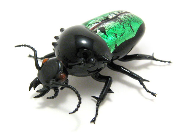 Jewel Beetle, glass insect by Wesley Fleming