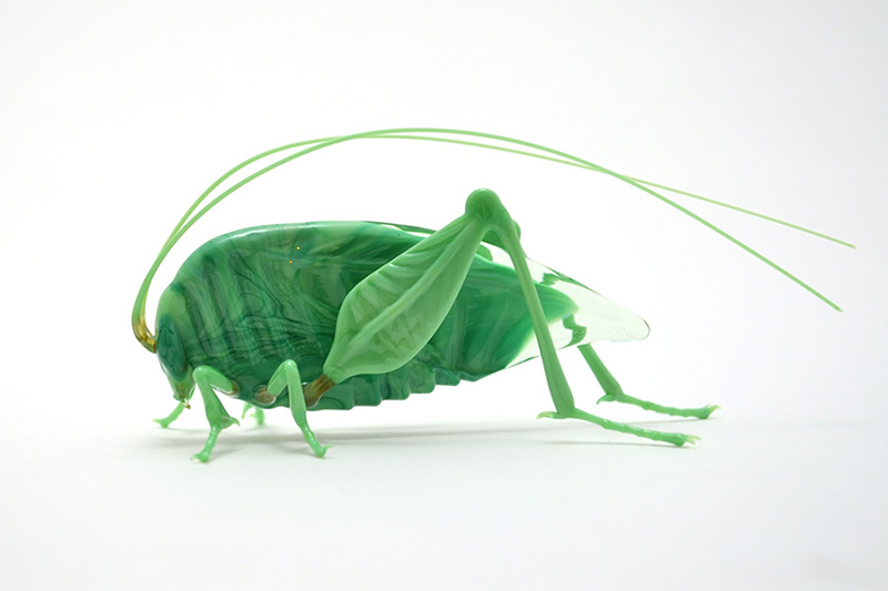 Katydid, glass katydid by Wesley Fleming