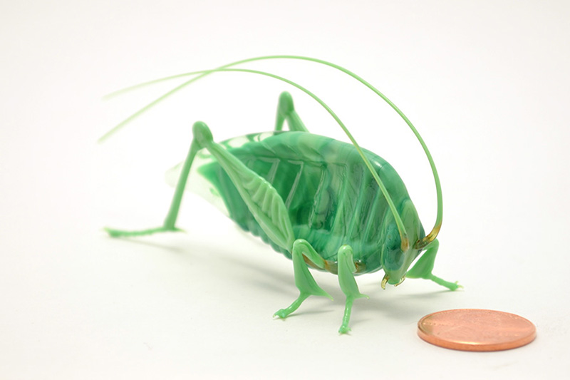 Katydid, glass katydid by Wesley Fleming
