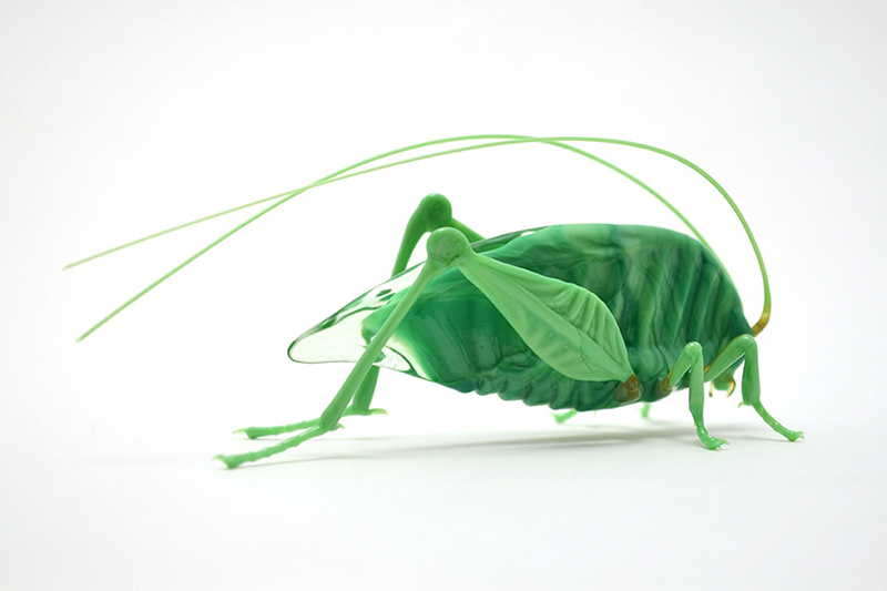 Katydid, glass katydid by Wesley Fleming