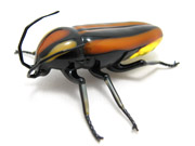 lightning-bug