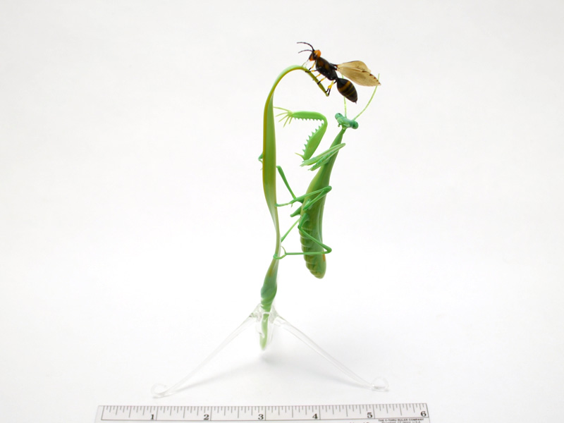 Mantis Stalking a Wasp, glass wasp by Wesley Fleming