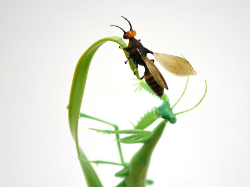 Mantis Stalking a Wasp, glass bug by Wesley Fleming