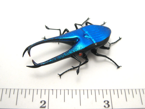 Mini Blue Stag Beetle, glass stag beetle by Wesley Fleming