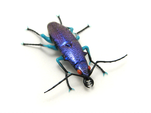 Mini Tiger Beetle, glass tiger beetle by Wesley Fleming