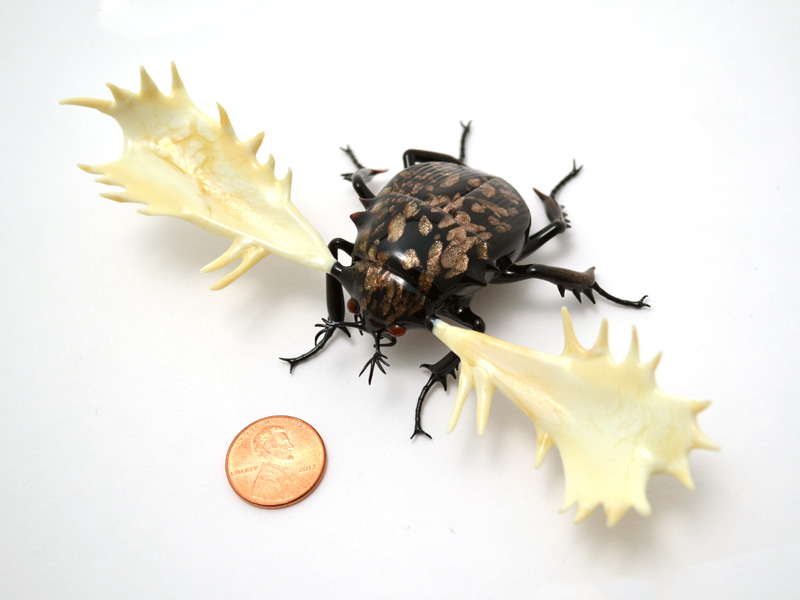 Lucanus alces, goldstone variant, glass moose beetle by Wesley Fleming