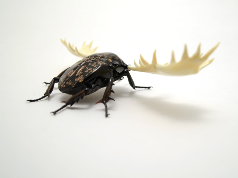Lucanus alces, goldstone variant, glass antler by Wesley Fleming