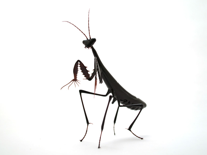 Ninja Mantis, glass mantis by Wesley Fleming
