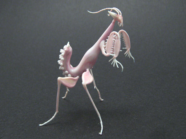 Orchid Mantis, glass insect by Wesley Fleming