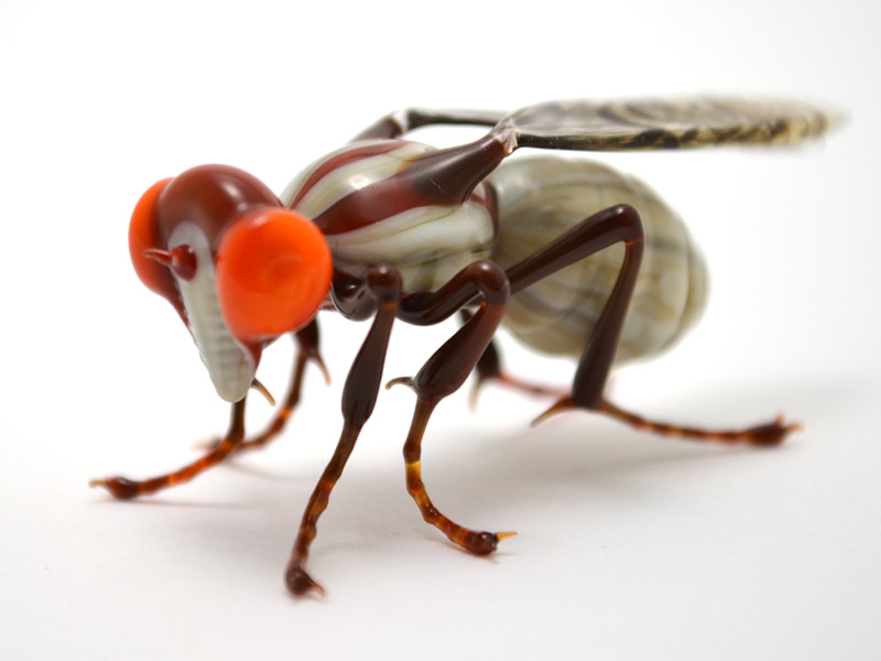 Rabbit Bot Fly, glass bot fly by Wesley Fleming