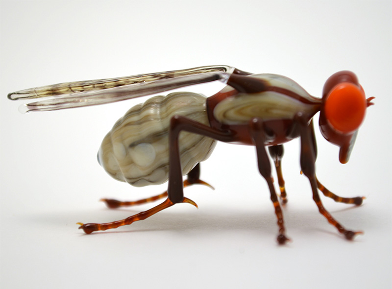 Rabbit Bot Fly, glass bot fly by Wesley Fleming