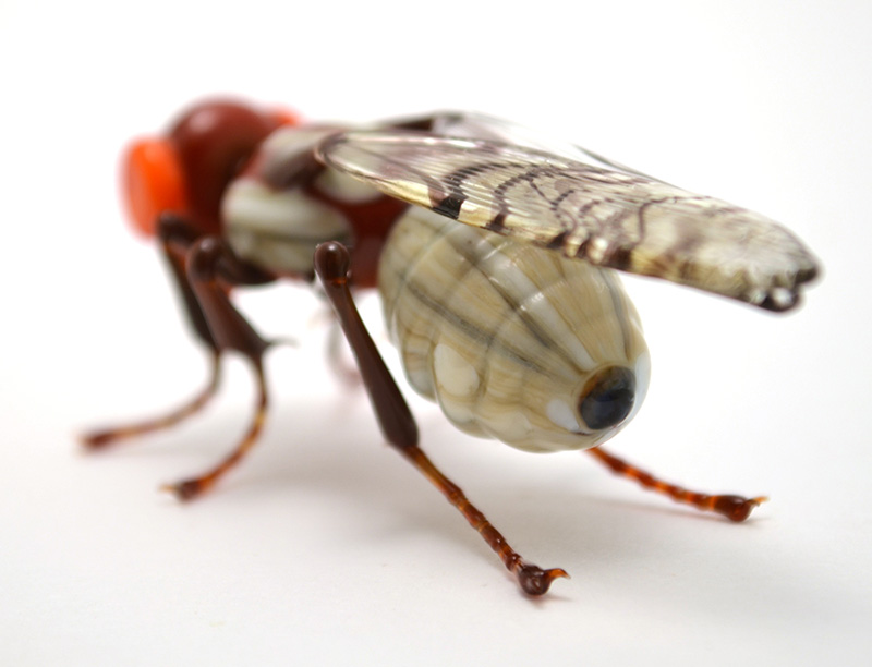 Rabbit Bot Fly, glass bot fly by Wesley Fleming