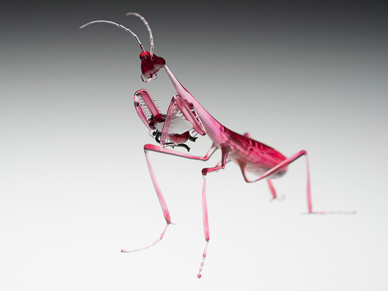 Rubino Mantis Eating a Ruby Fly, glass mantis by Wesley Fleming