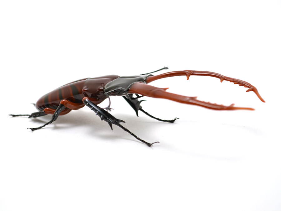 Striped Stag Beetle, glass bug by Wesley Fleming