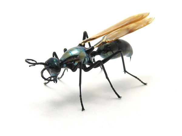 tarantula hawk, glass tarantula hawk by Wesley Fleming