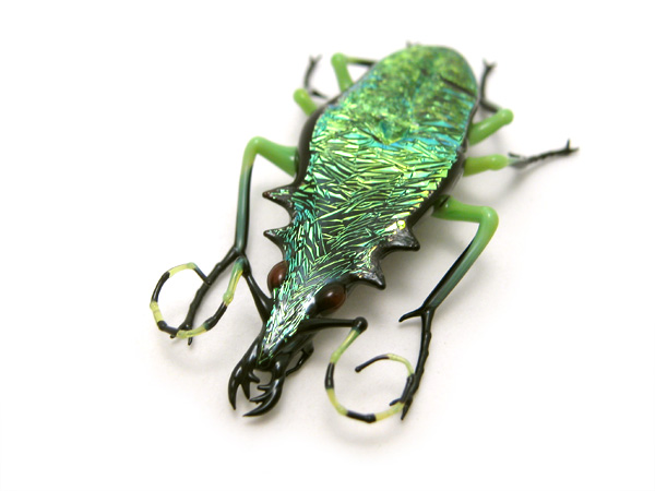 Emerald Tiger Beetle, glass tiger beetle by Wesley Fleming