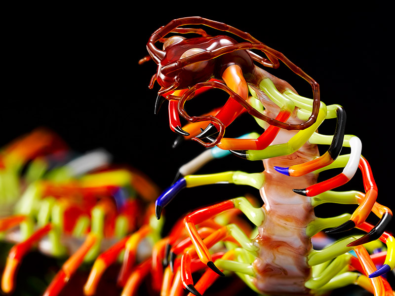 Turning Point, glass centipede by Wesley Fleming