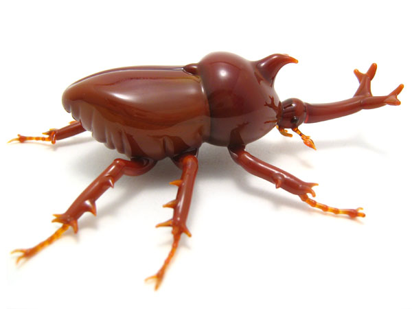 Unicorn Beetle, glass insect by Wesley Fleming