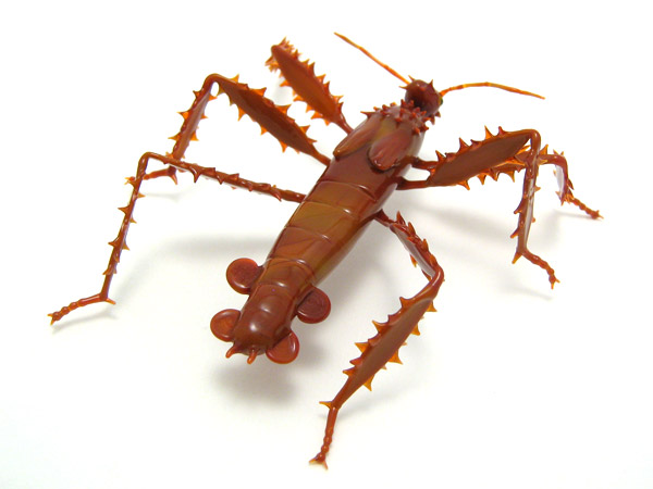 Australian Walking Stick, glass bug by Wesley Fleming